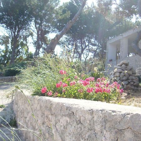 Villa Aquarium Gagliano del Capo Eksteriør bilde