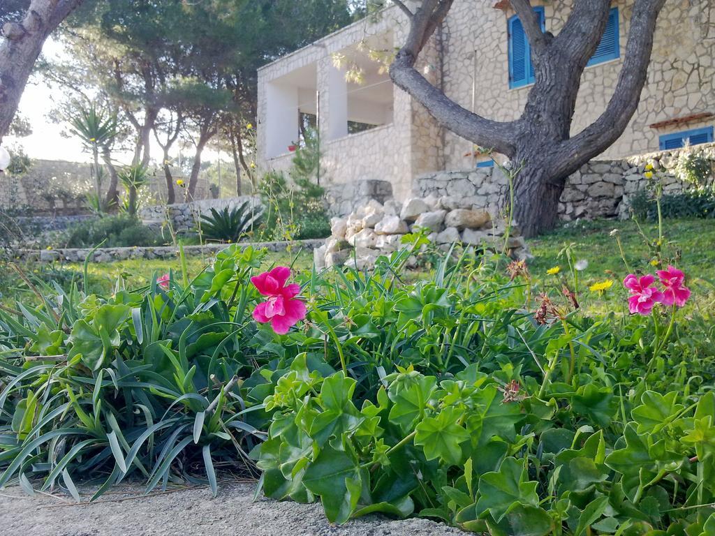 Villa Aquarium Gagliano del Capo Eksteriør bilde