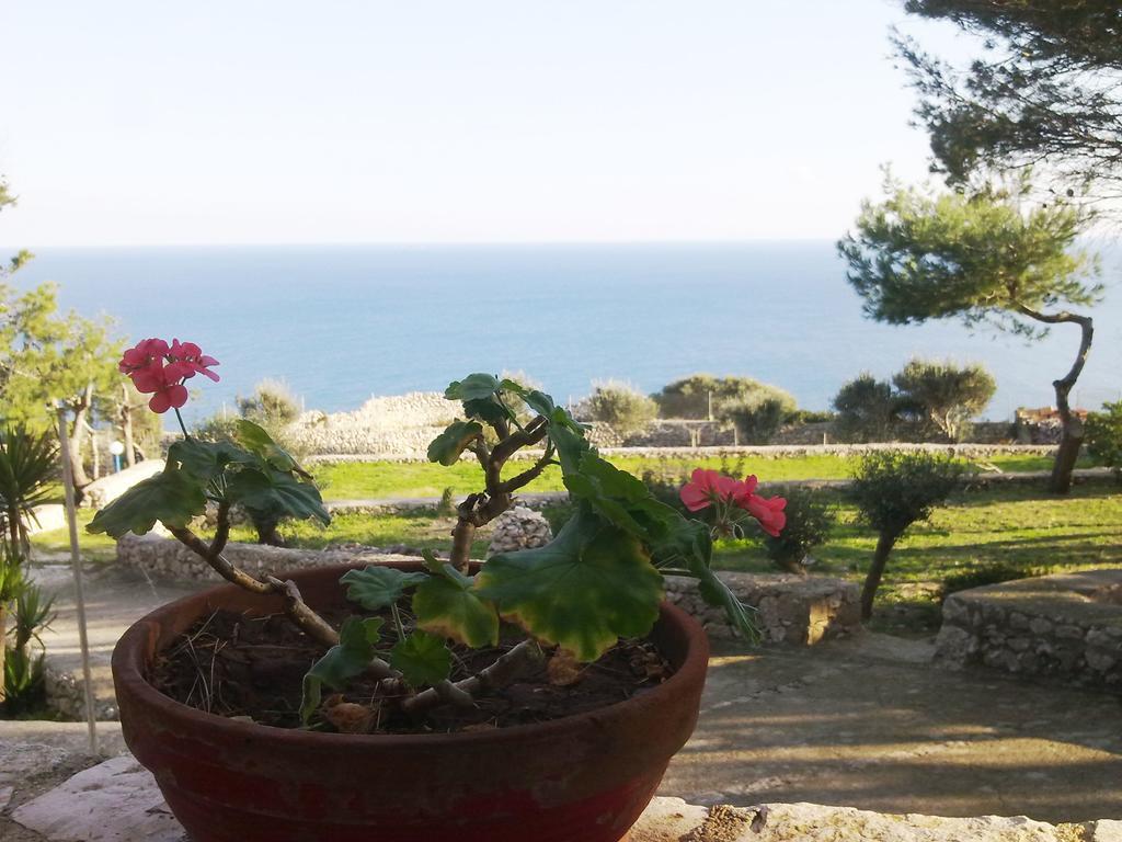 Villa Aquarium Gagliano del Capo Eksteriør bilde