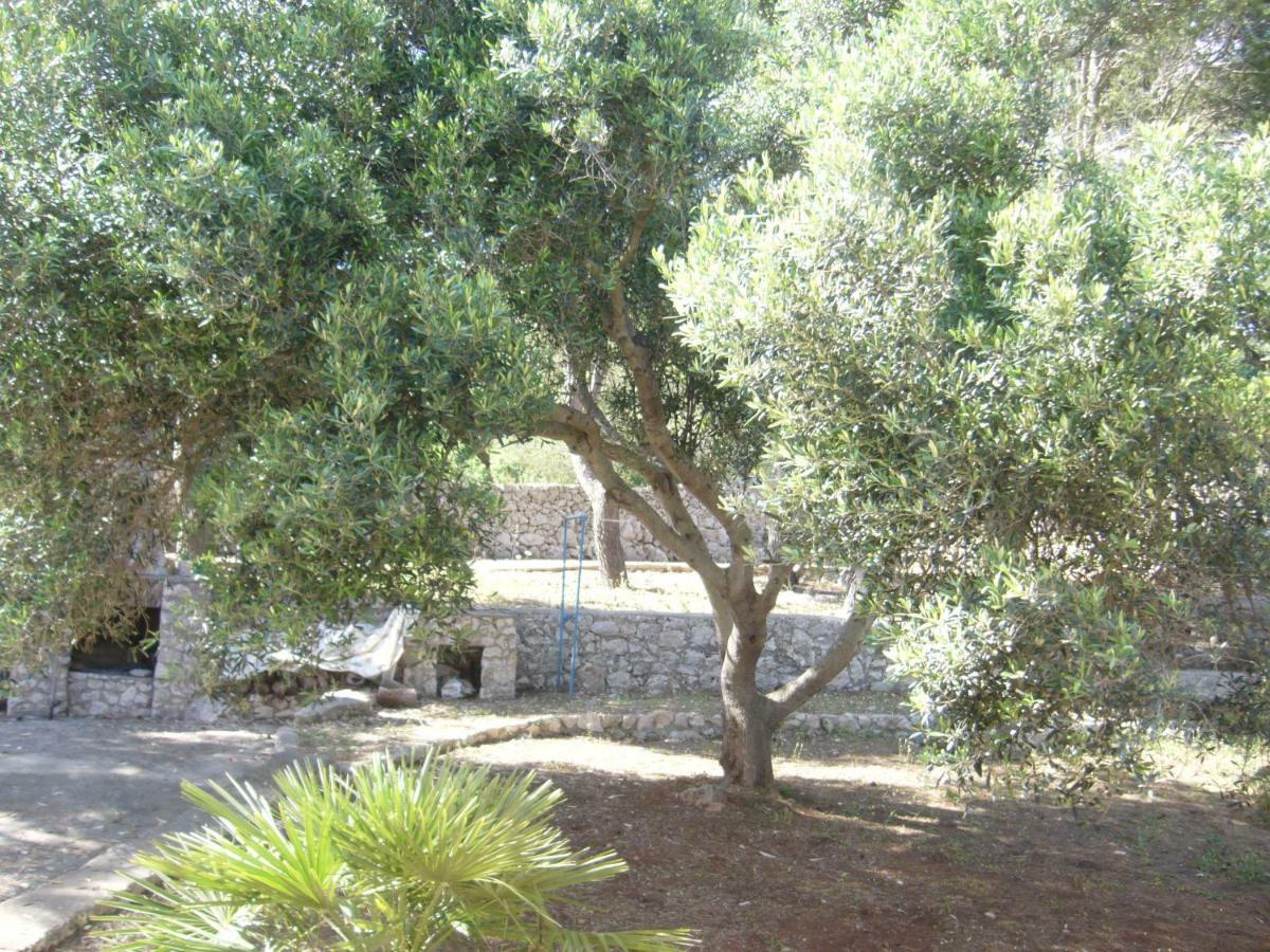 Villa Aquarium Gagliano del Capo Eksteriør bilde