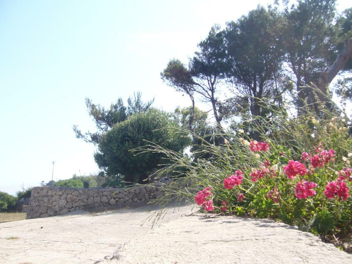 Villa Aquarium Gagliano del Capo Eksteriør bilde