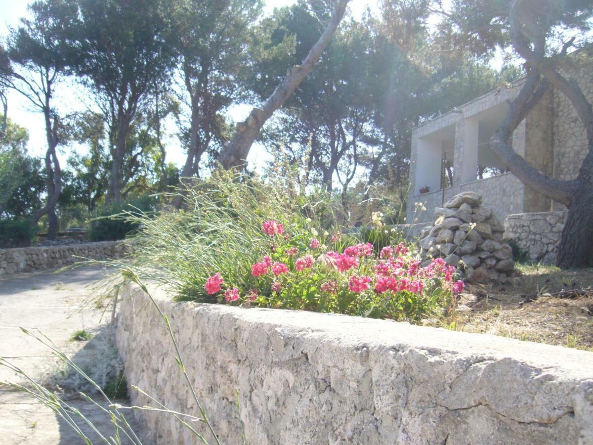 Villa Aquarium Gagliano del Capo Eksteriør bilde