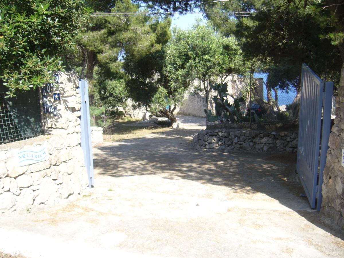 Villa Aquarium Gagliano del Capo Eksteriør bilde